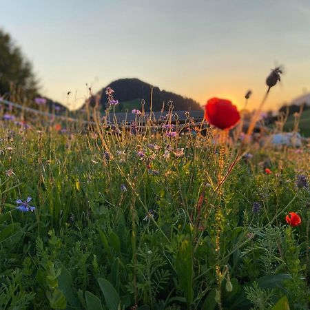 Appartamento Haus Chorblick Westendorf Esterno foto