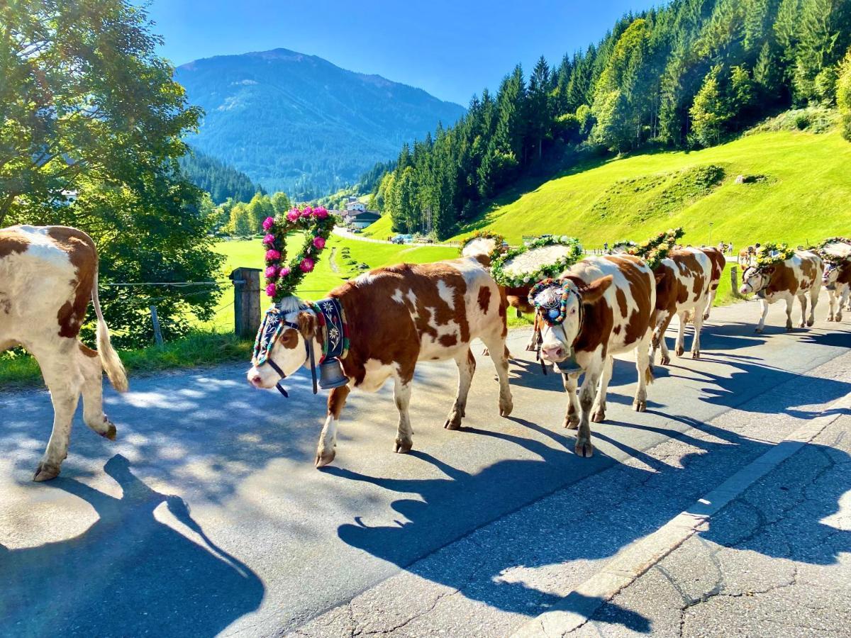 Appartamento Haus Chorblick Westendorf Esterno foto