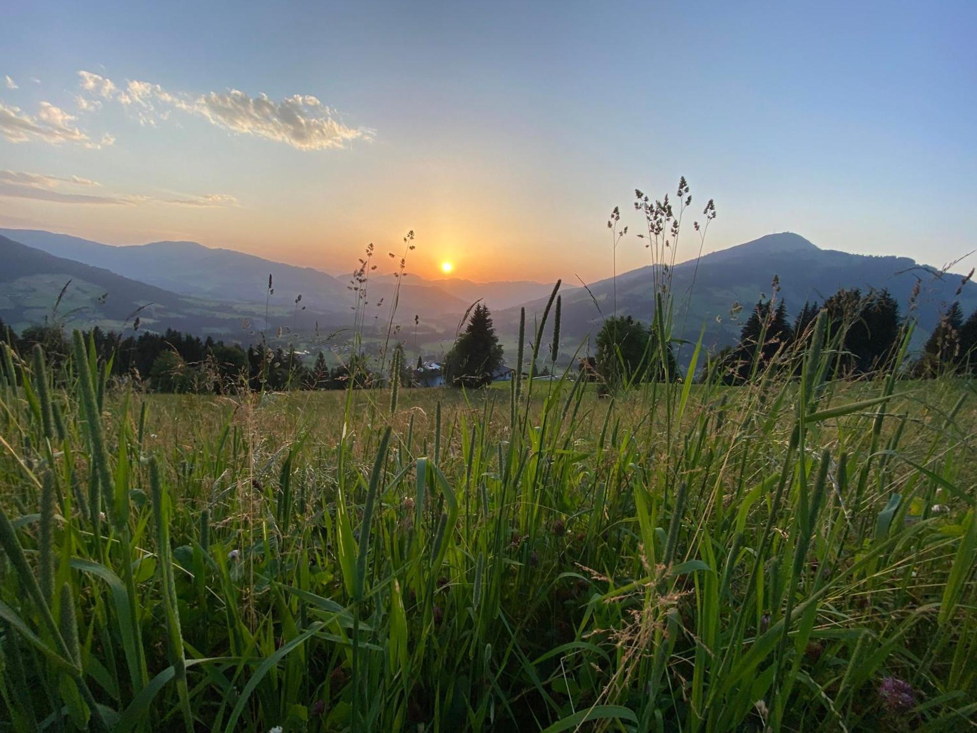 Appartamento Haus Chorblick Westendorf Esterno foto